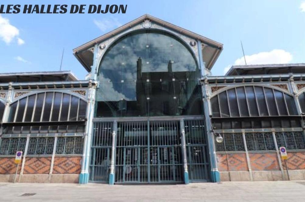 Le Nid - Hebergement Cosy Dijon Zewnętrze zdjęcie
